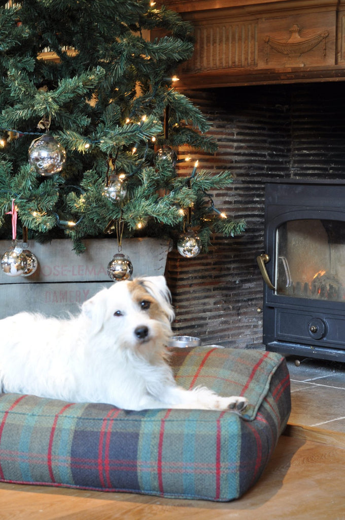 CHRISTMAS SCHOOL FAIRS 2016